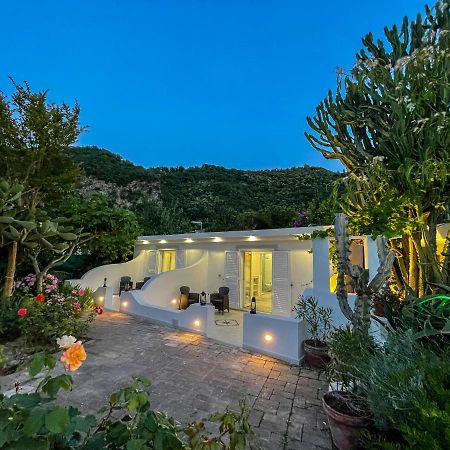 Barracudasuite Ischia Exterior photo