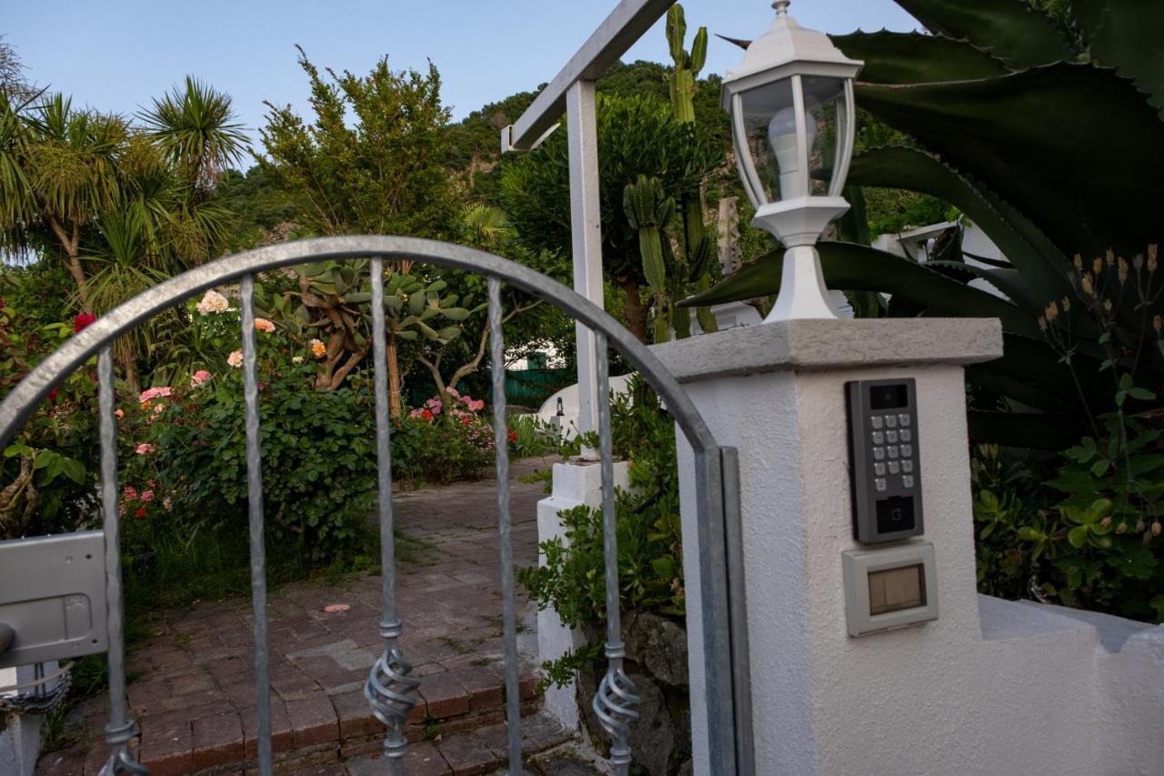 Barracudasuite Ischia Exterior photo