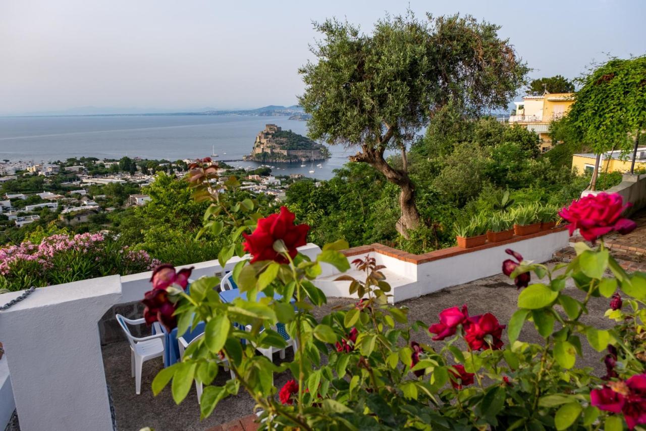 Barracudasuite Ischia Exterior photo