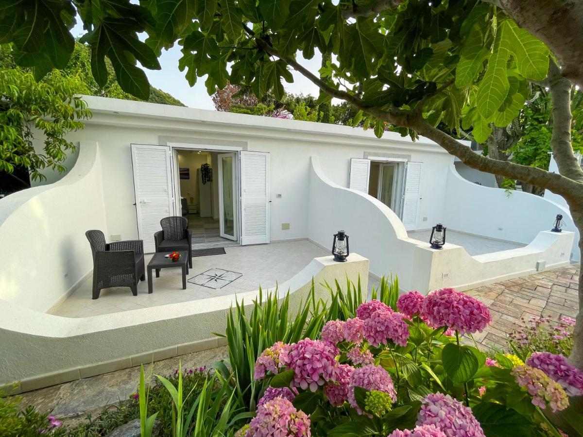 Barracudasuite Ischia Exterior photo