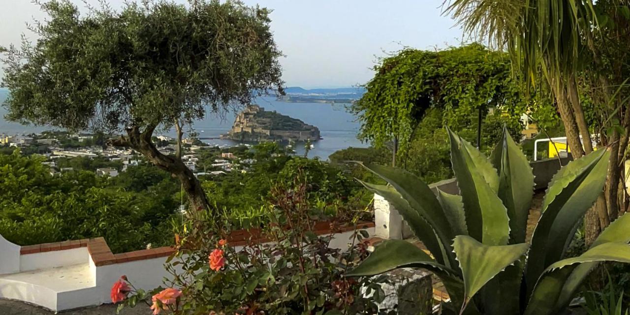 Barracudasuite Ischia Exterior photo